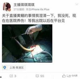 女主播黄鳝完整下载